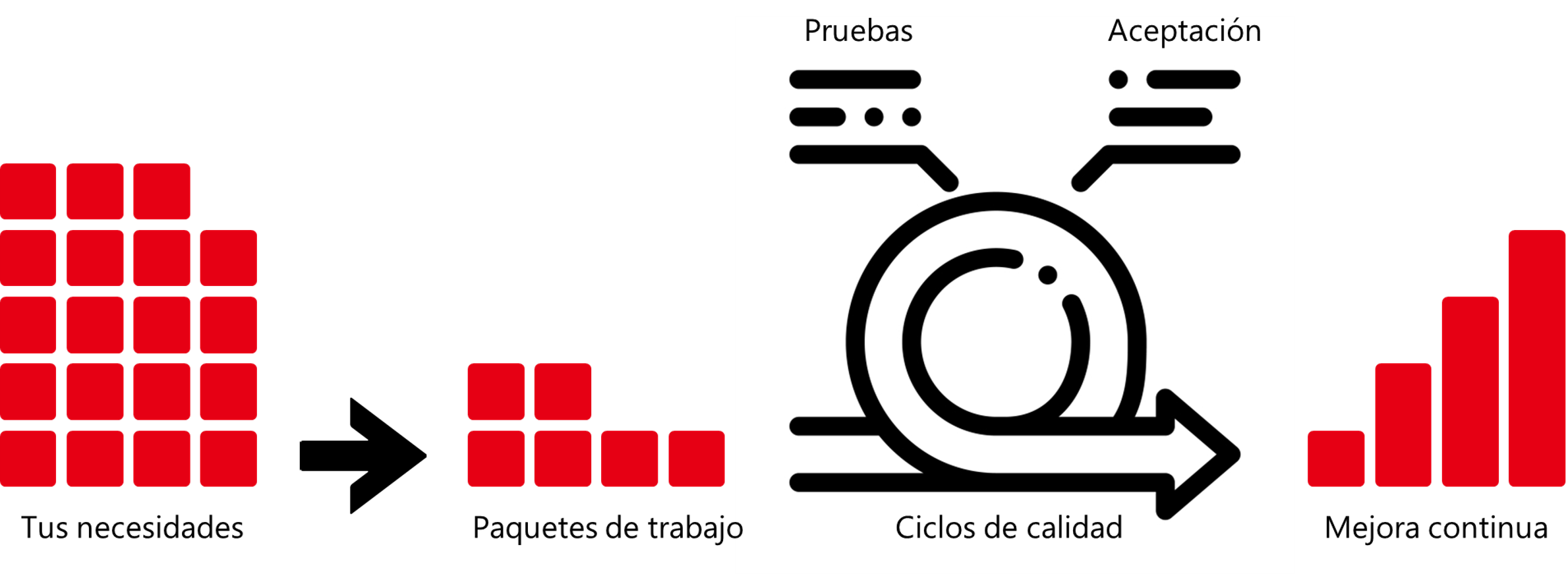 ciclo_ikeen Ciclo de vida